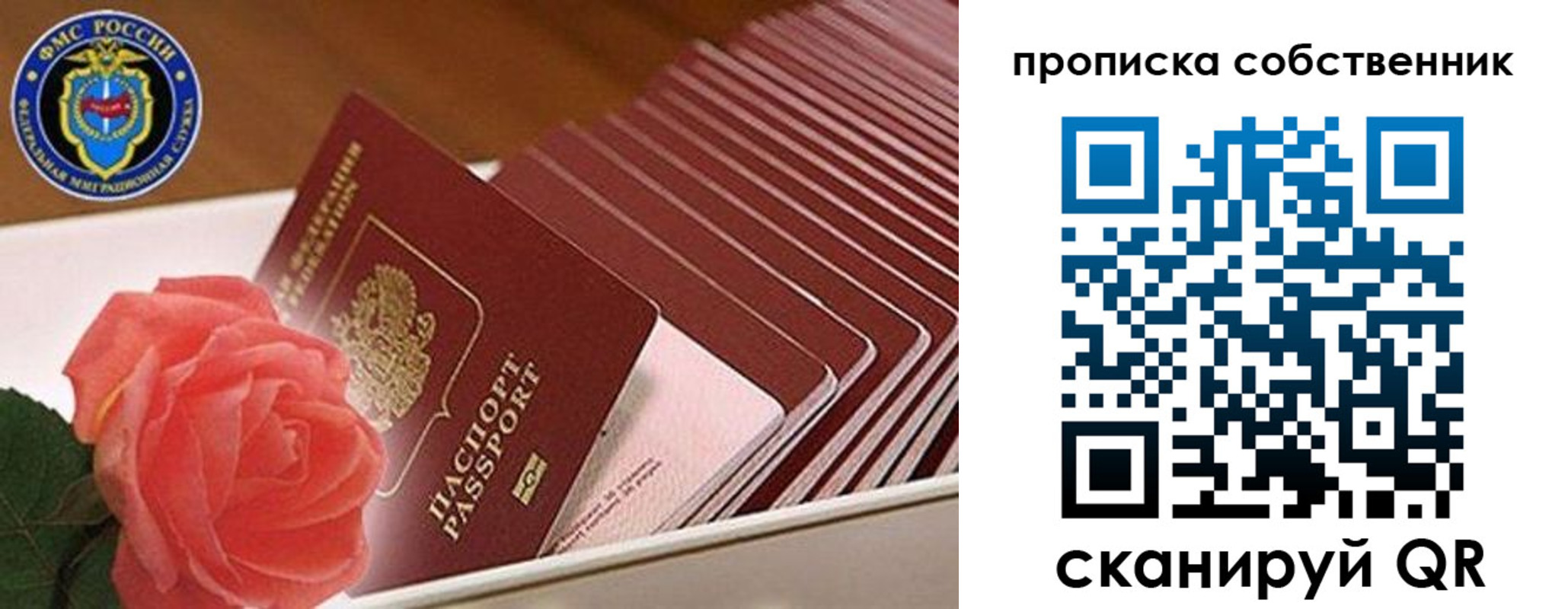 прописка поиск в Снежинске
